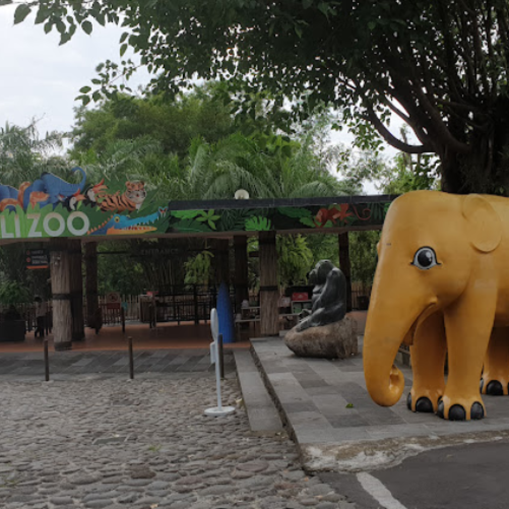 حديقة حيوانات بالي (2)