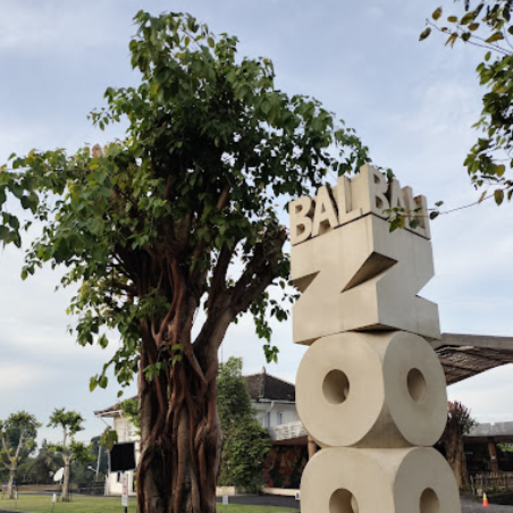 حديقة حيوانات بالي (4)