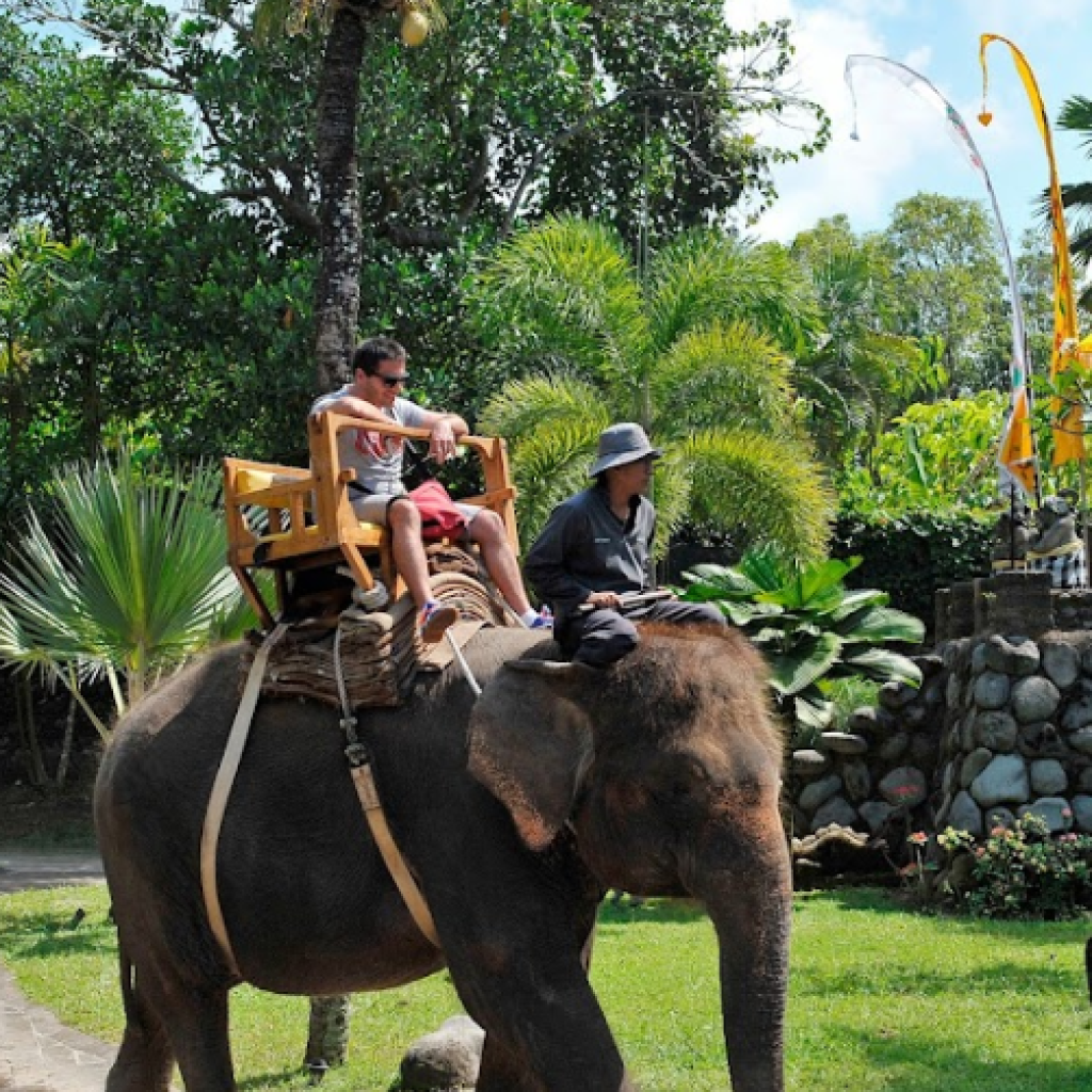 حديقة حيوانات بالي (6)