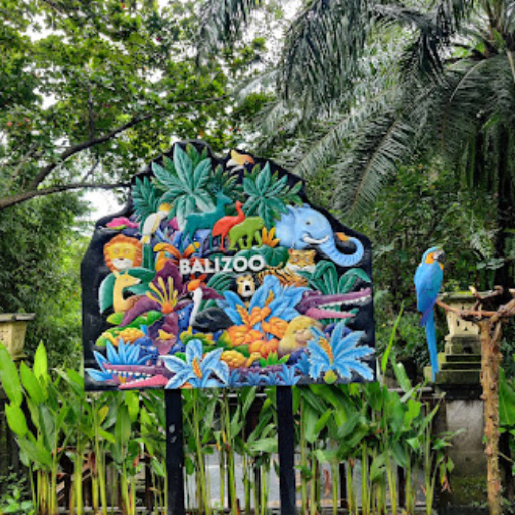 حديقة حيوانات بالي (7)