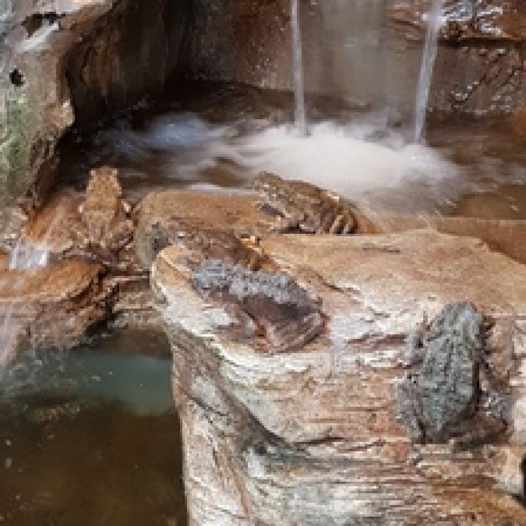 حديقة حيوانات برج كوالا لمبور