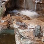 حديقة حيوانات برج كوالا لمبور