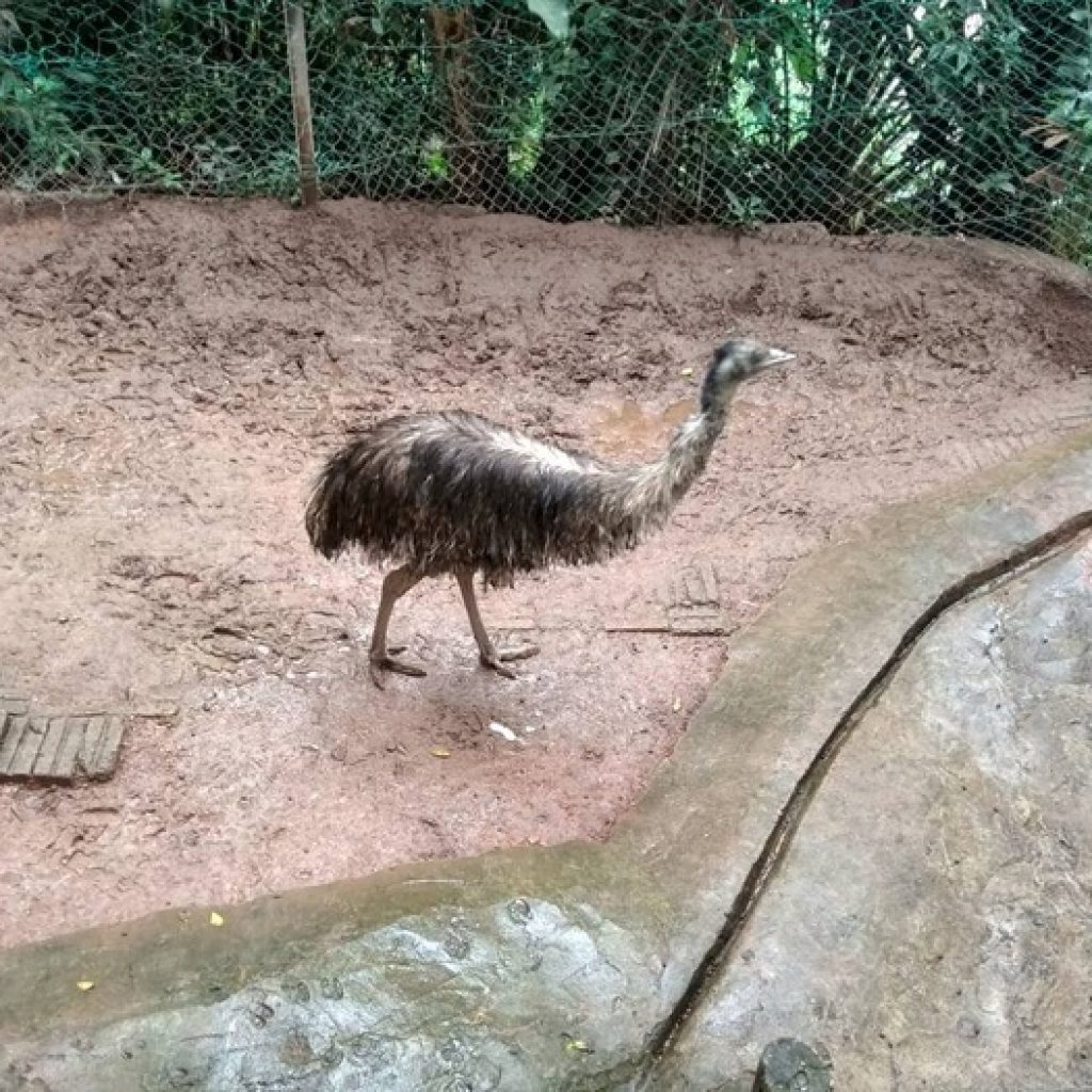 حديقة حيوانات برج كوالا لمبور