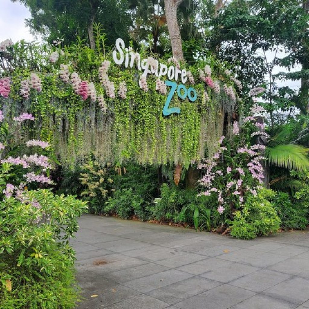 حديقة حيوانات سنغافورة ٣
