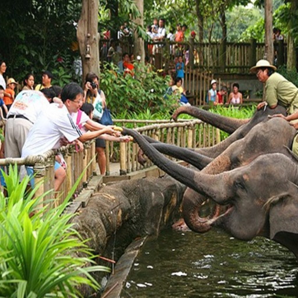 حديقة حيوانات سنغافورة