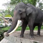 حديقة حيوانات نيجارا