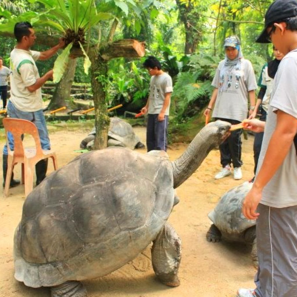 حديقة حيوانات نيجارا