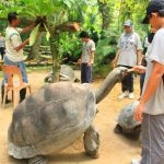 حديقة حيوانات نيجارا