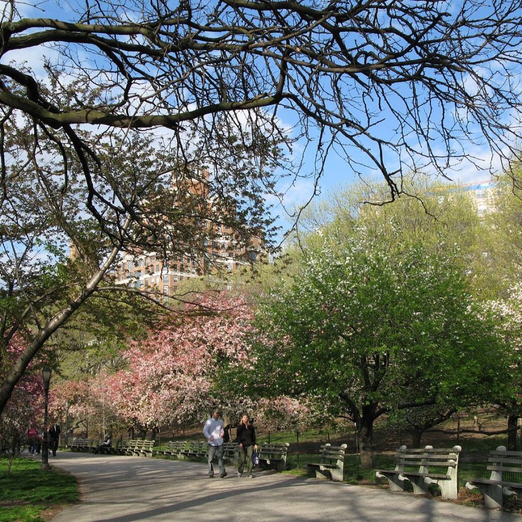 حديقة ريفرسايد1