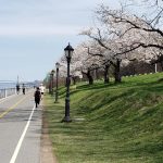 حديقة ريفرسايد2