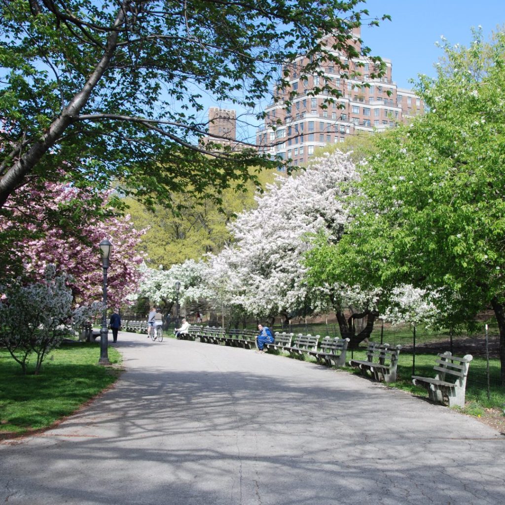 حديقة ريفرسايد3