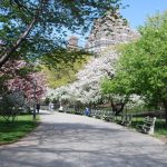 حديقة ريفرسايد3