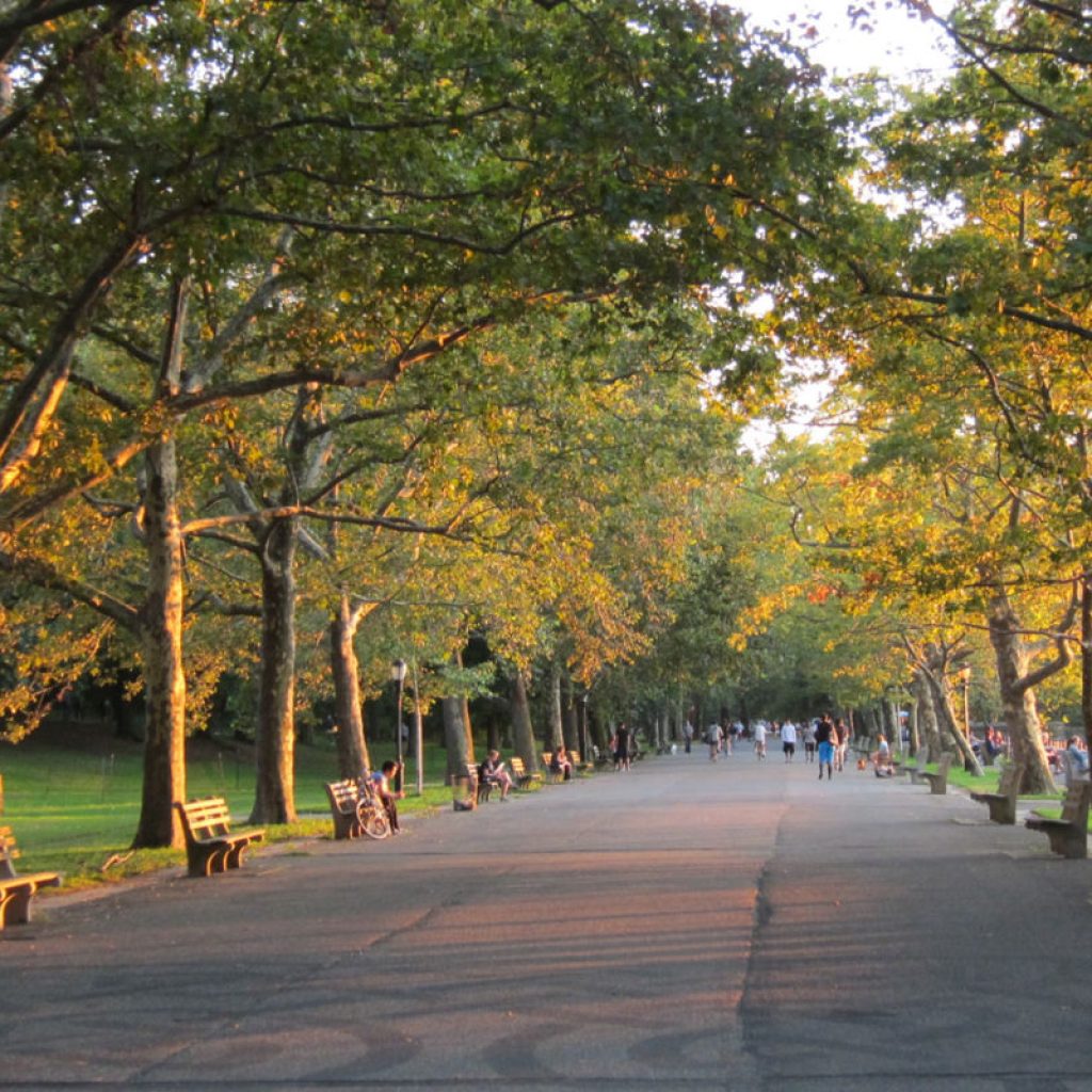 حديقة ريفرسايد4