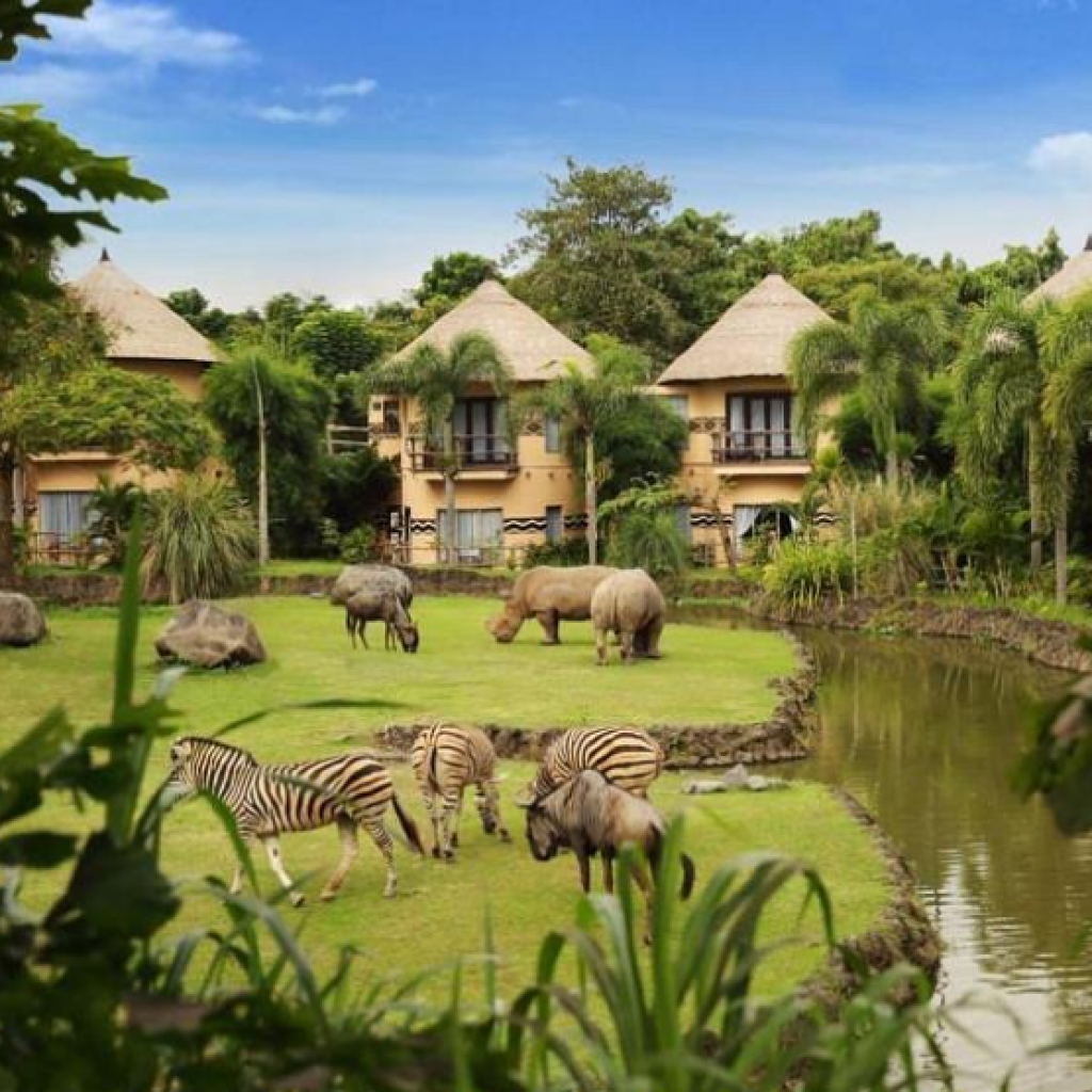 حديقة سفاري بالي (2)