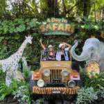 حديقة سفاري بالي (4)