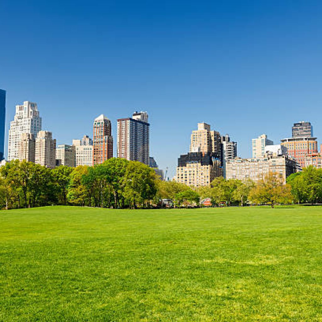 حديقة سنترال بارك2