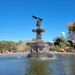 حديقة سنترال بارك4