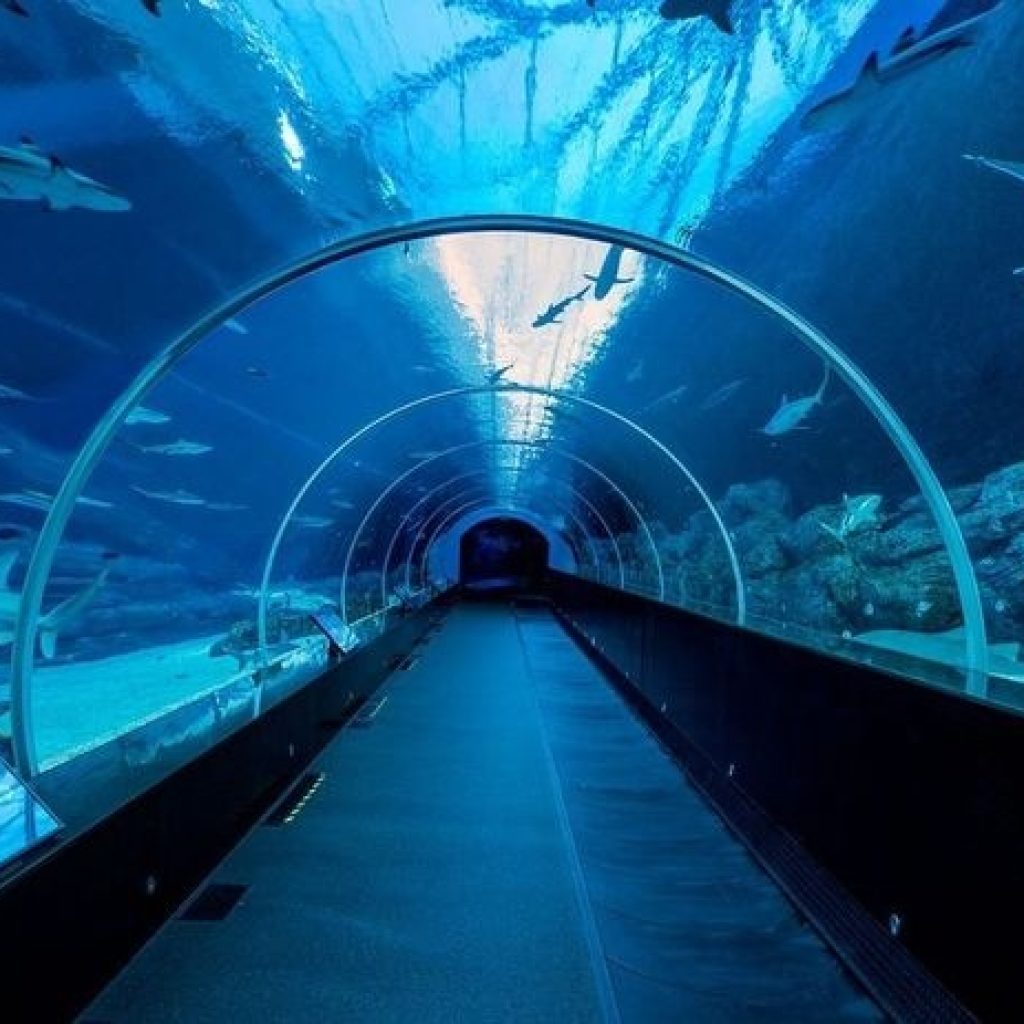 حديقة سي اي اه المائية ١