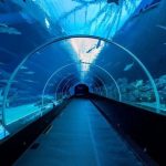 حديقة سي اي اه المائية ١