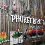 حديقة طيور بوكيت ٥