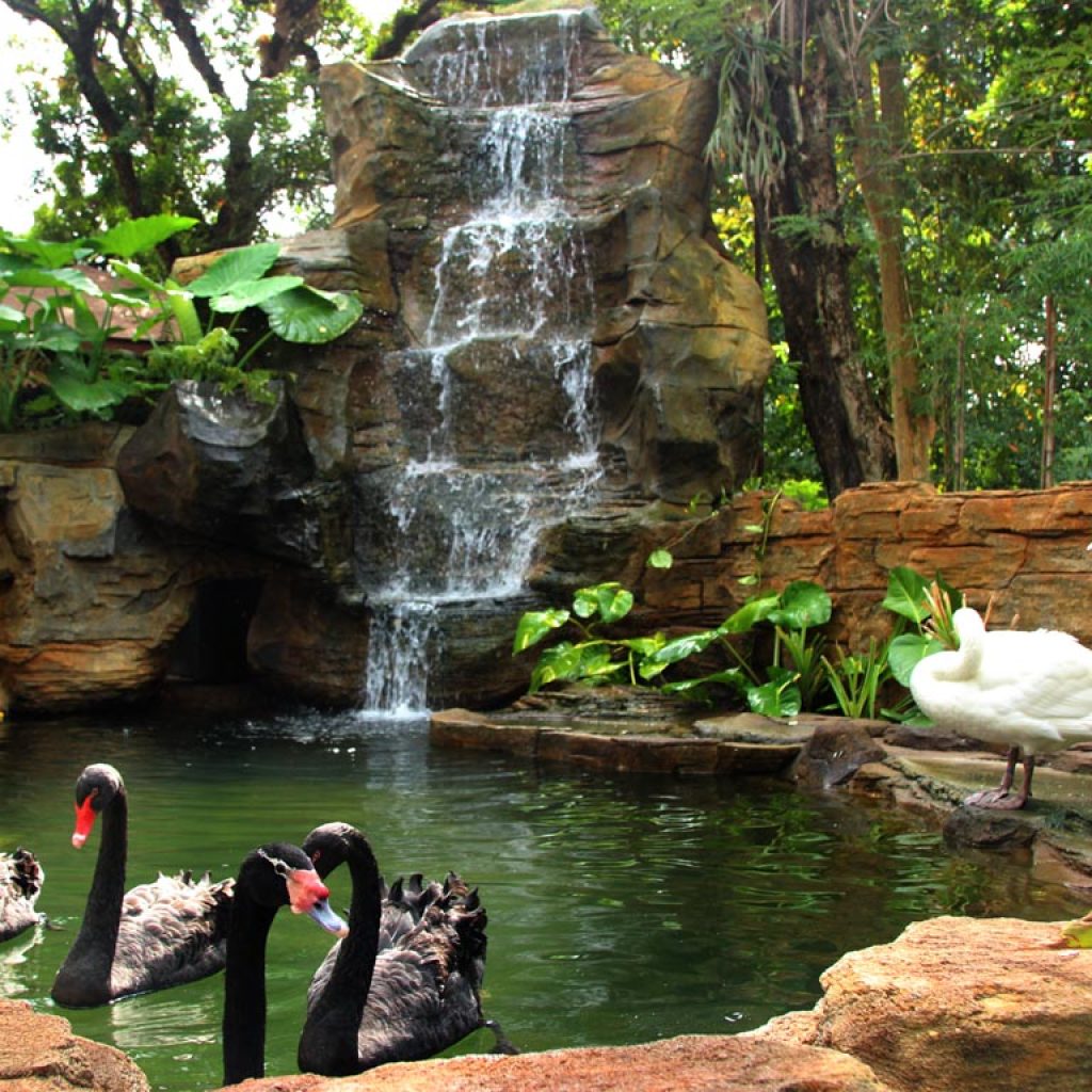 حديقة طيور كوالالمبور