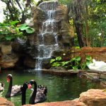 حديقة طيور كوالالمبور