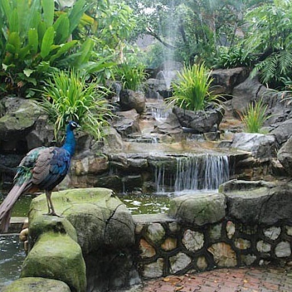 حديقة طيور كوالالمبور