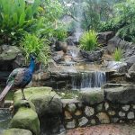 حديقة طيور كوالالمبور