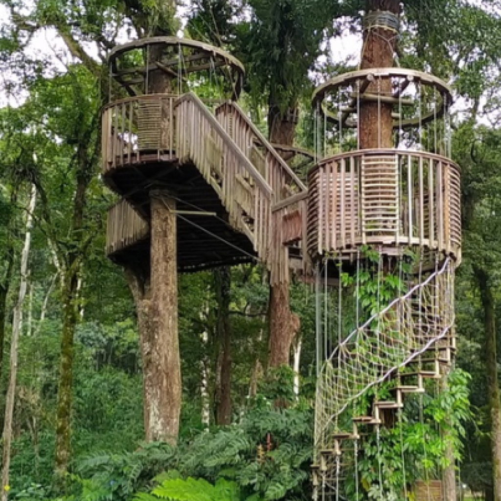 حديقة مغامرات تريتوب بالي (5)