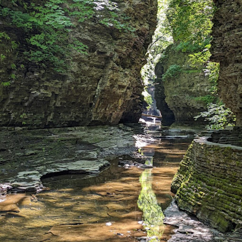 حديقة واتكينز جلين الحكومية3