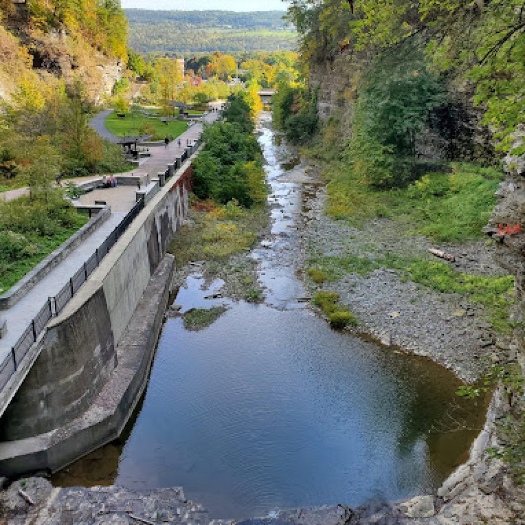 حديقة واتكينز جلين الحكومية5