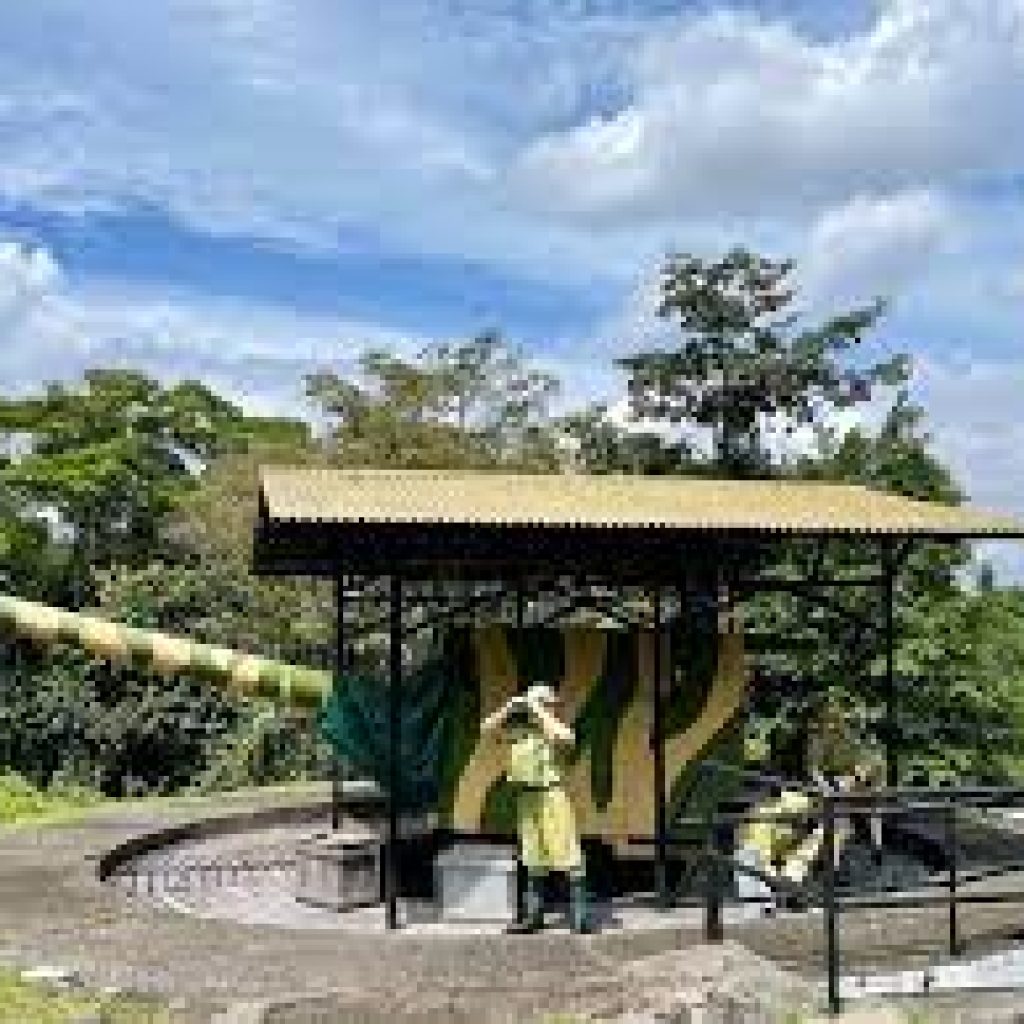 حصن سيلوسو ٢