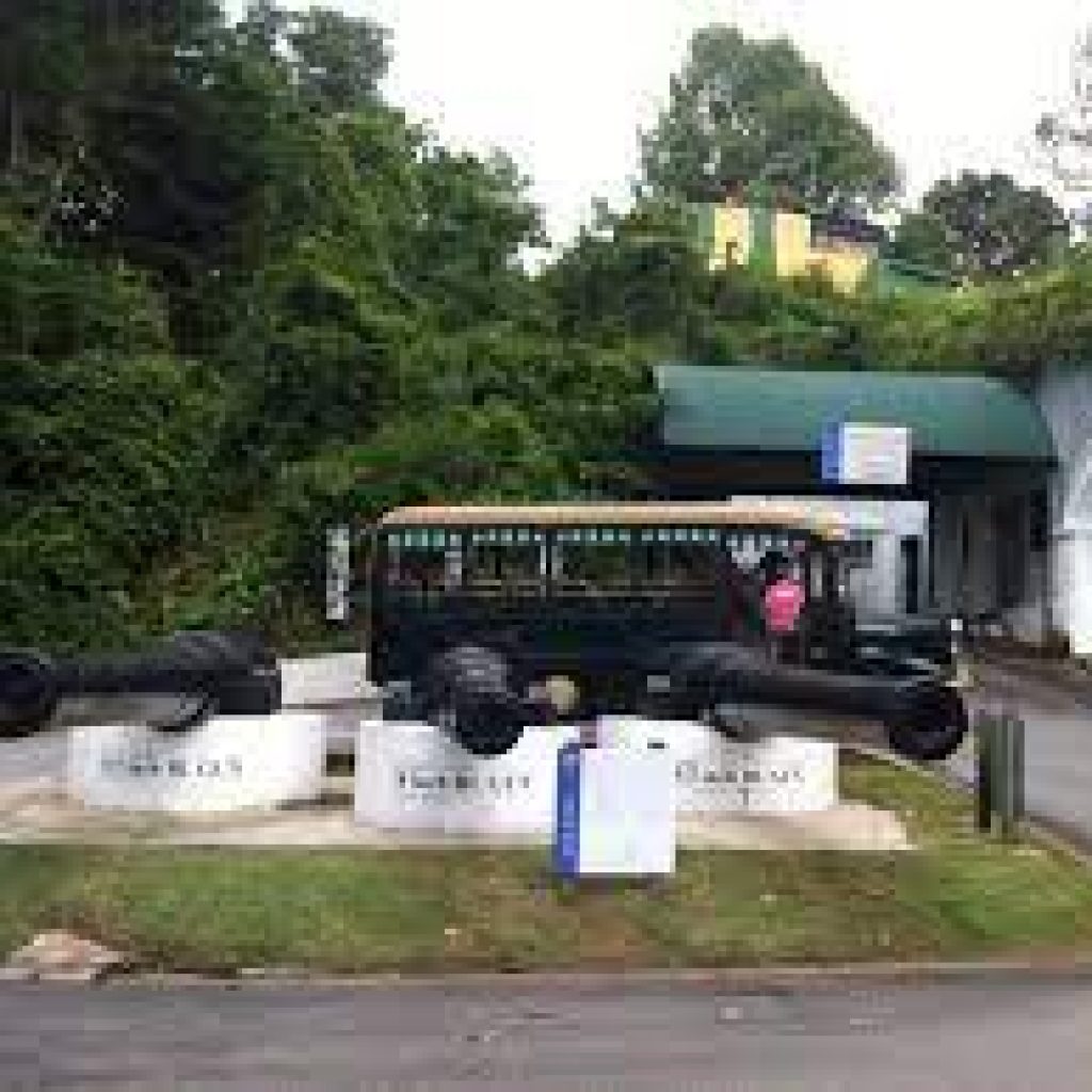 حصن سيلوسو ٥