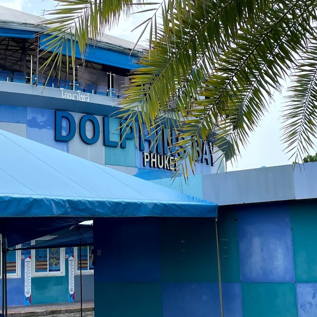 خليج الدلافين ٥