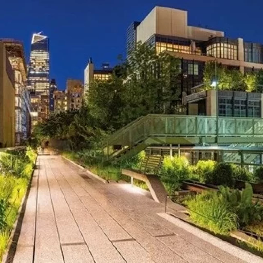 ذا هاي لاين ١