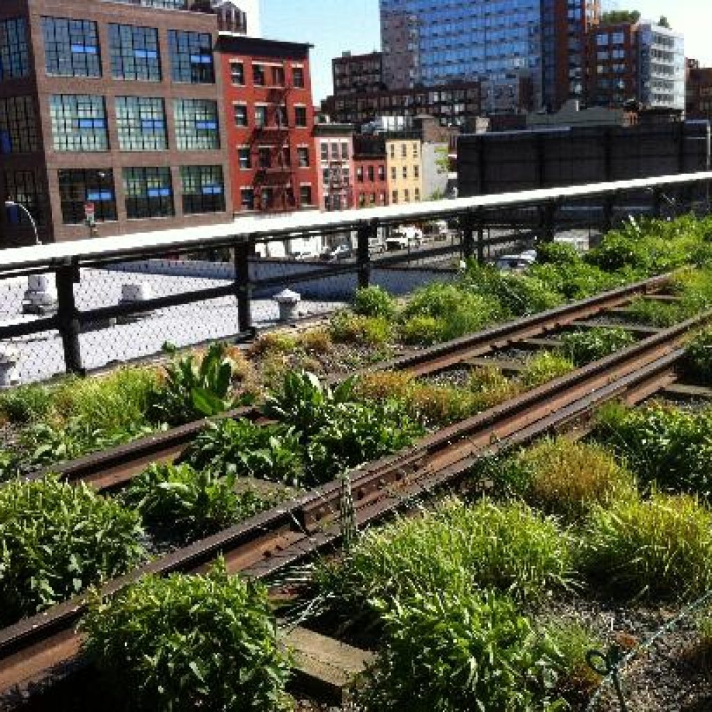 ذا هاي لاين ٢