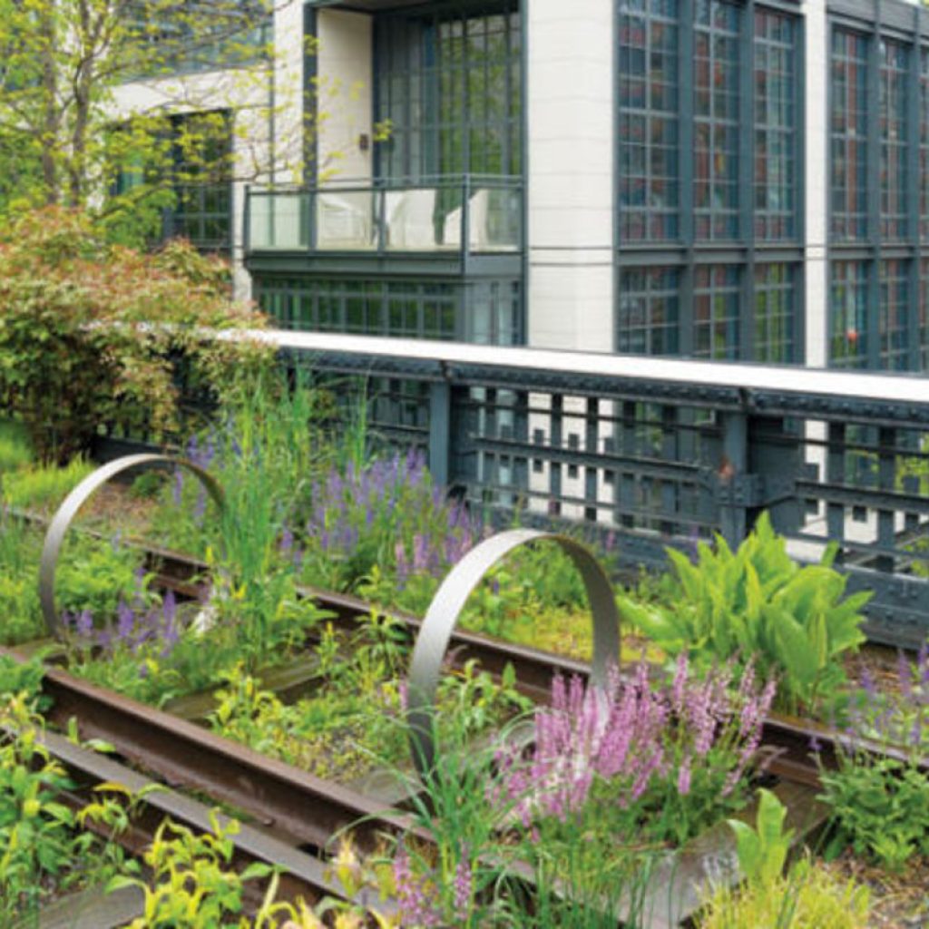 ذا هاي لاين ٣