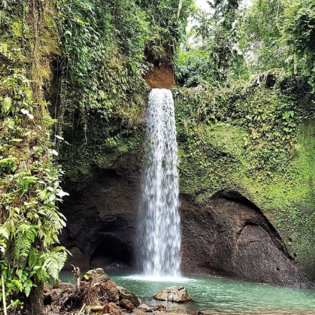 رحلة الي تيبومانا، توكاد سيبونج، وشلالات تيجينونجان بالي (1)