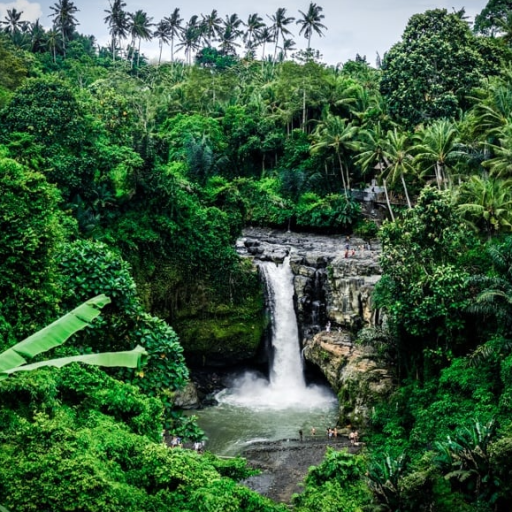 رحلة الي تيبومانا، توكاد سيبونج، وشلالات تيجينونجان بالي (3)