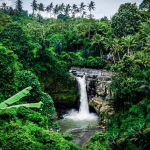 رحلة الي تيبومانا، توكاد سيبونج، وشلالات تيجينونجان بالي (3)