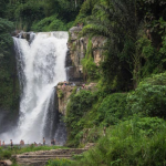 رحلة الي تيبومانا، توكاد سيبونج، وشلالات تيجينونجان بالي (4)