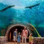 ريفر ووندرز ١