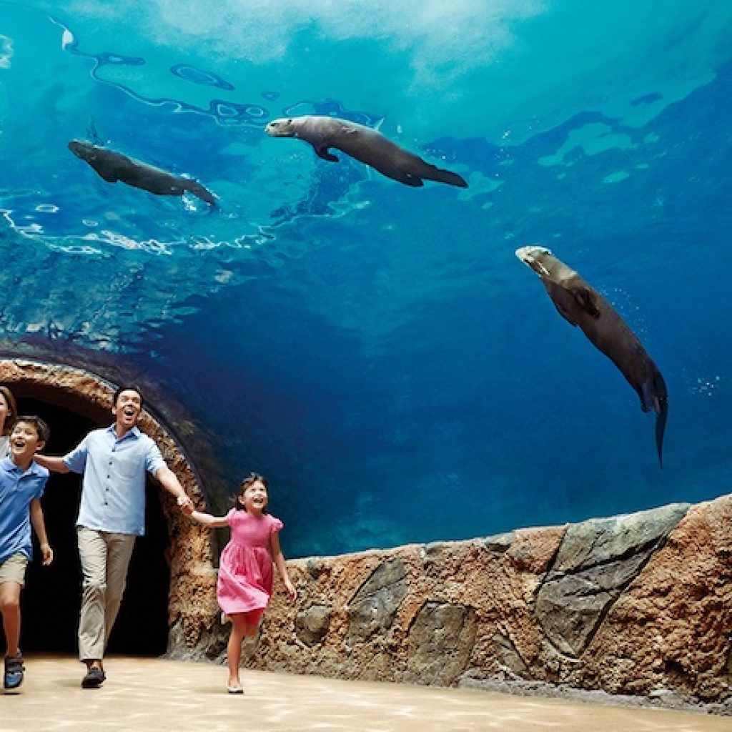 ريفر ووندرز ٢