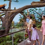 ريفر ووندرز ٣