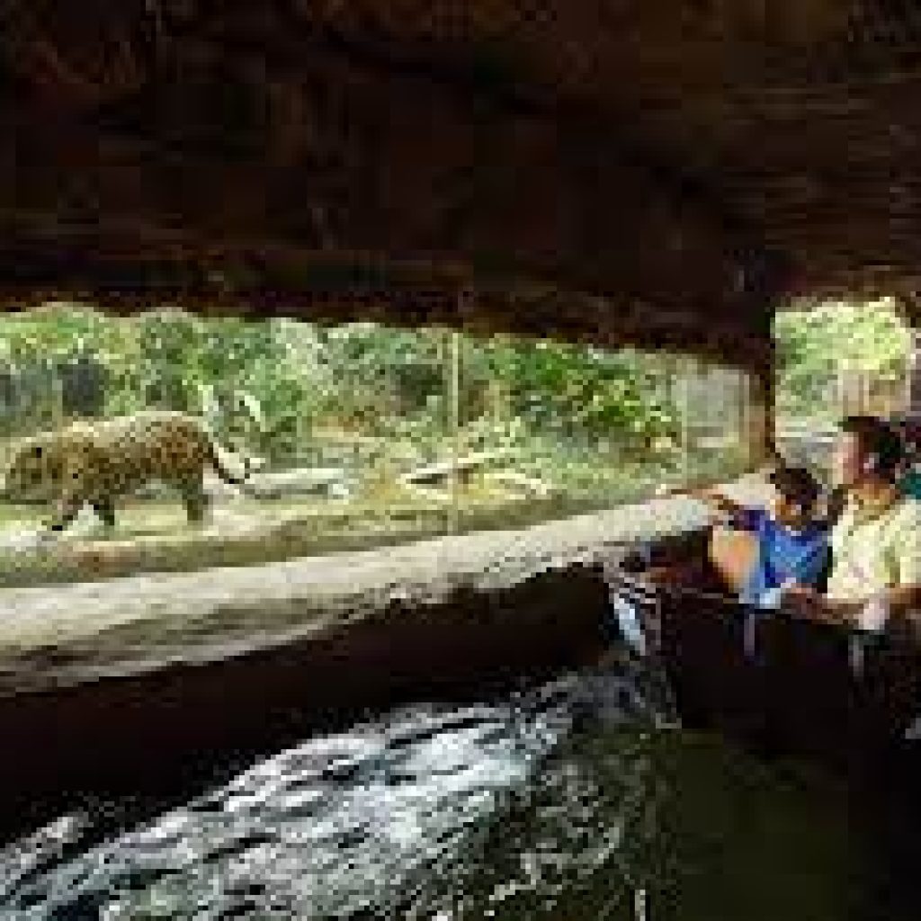 ريفر ووندرز ٤