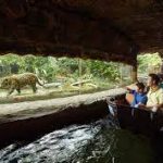 ريفر ووندرز ٤