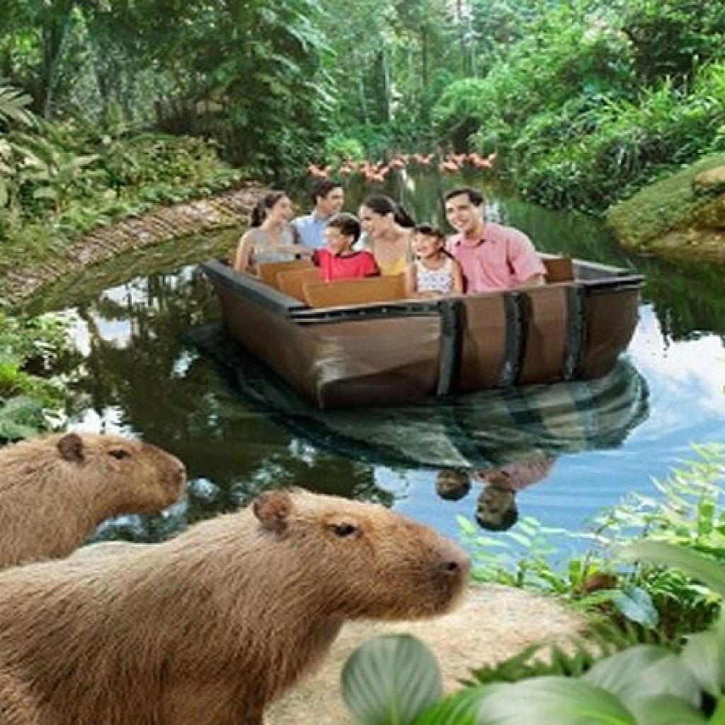 ريفر ووندرز ٥