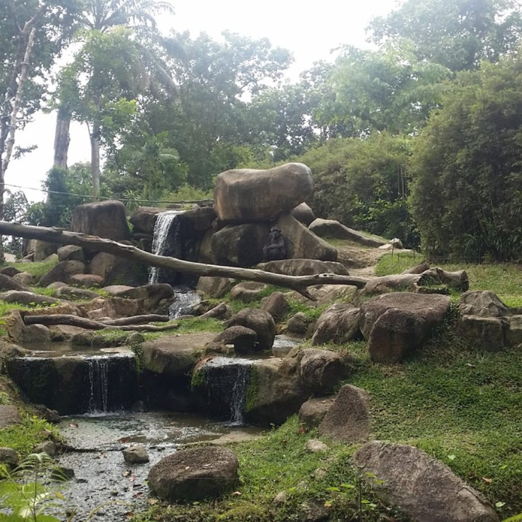 سفاري الليلية ٤