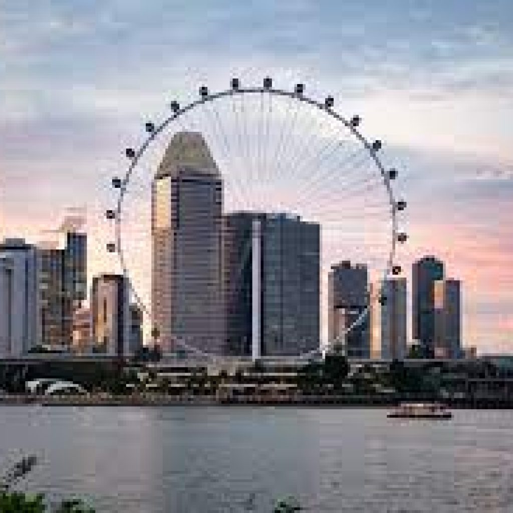 سنغافورة فلاير