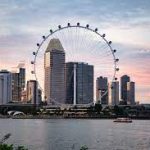 سنغافورة فلاير